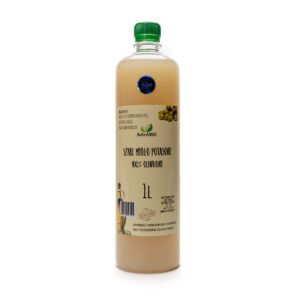 Box 1L mydło potasowe 12 x oliwa z oliwek