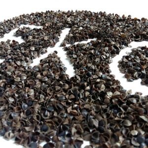 Łuska gryki EKO uprawa certyfikat 6kg